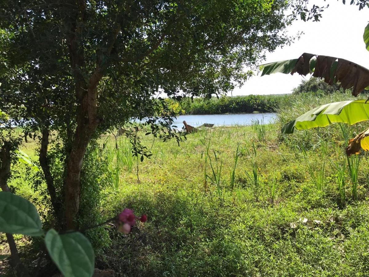 Pousada Mangue Seco Itaunas  Exteriér fotografie